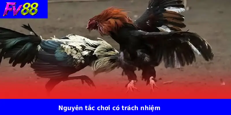 Nguyên tắc chơi có trách nhiệm