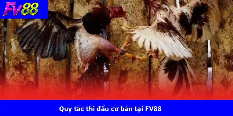 Quy tắc thi đấu cơ bản tại FV88