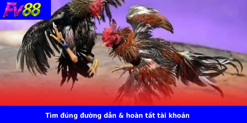 Tim dung duong dan hoan tat tai khoan
